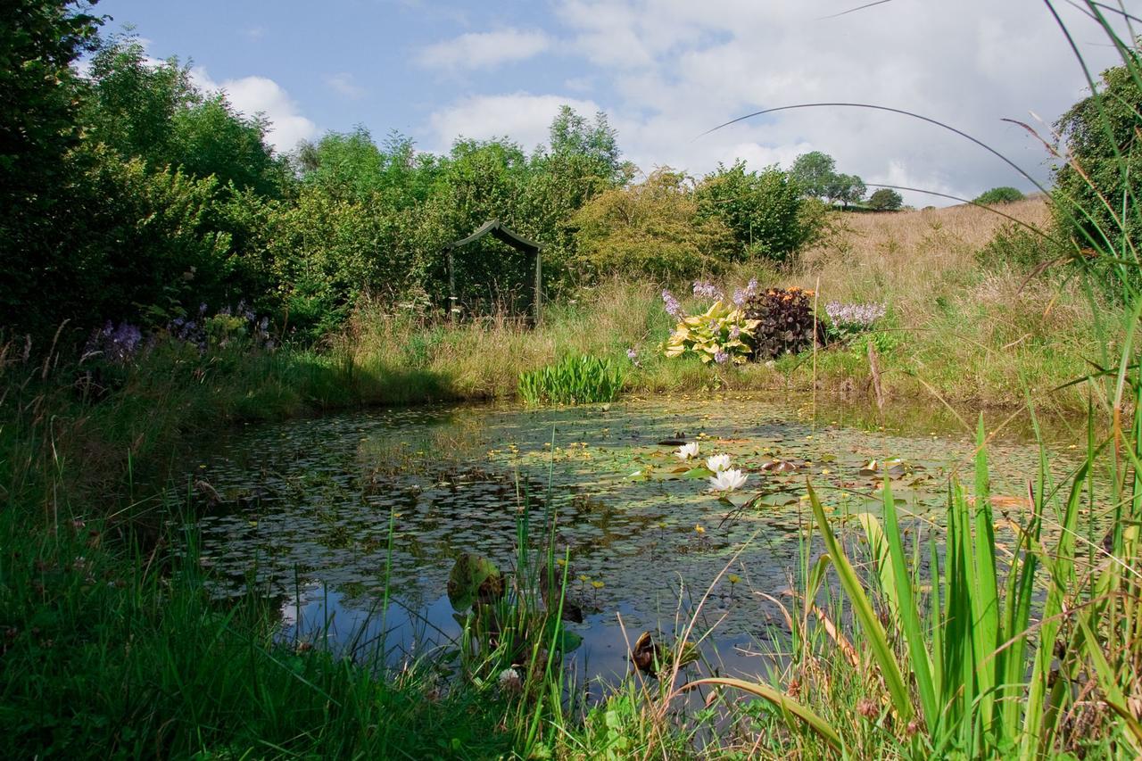 Ghyll Farm B & B Lamplugh エクステリア 写真